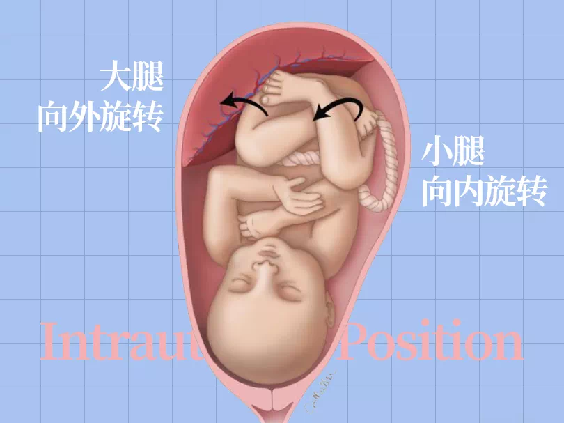 SPI足底壓力分布計量